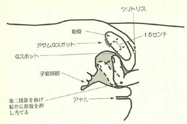 【完全マニュアル】最高に気持ちいいスローセックスで女性を確実にイキ狂わせる方法 Forza Style｜ファッション＆ライフスタイル