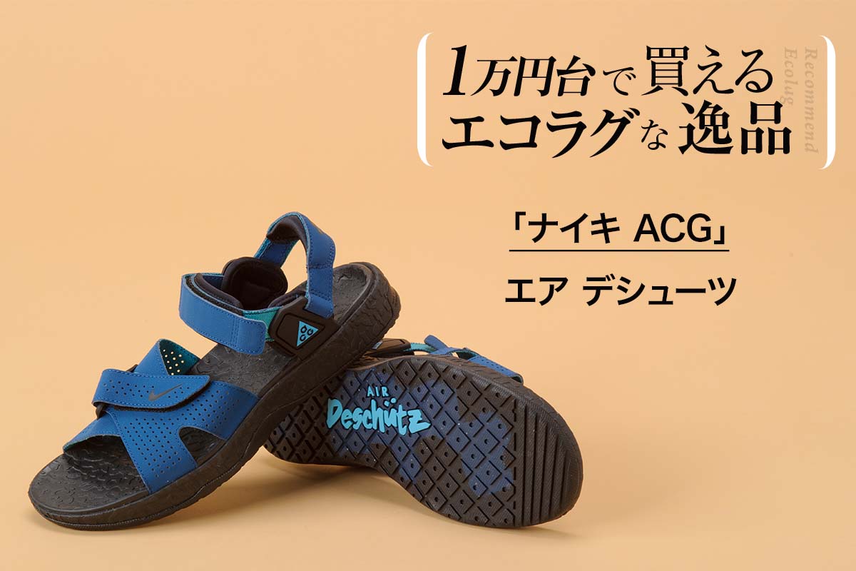 【新品/大人気ブランド】ナイキ ACG エア デシューツ +