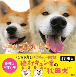 先日愛犬2匹を強奪された親日派のアメリカの歌手 ステファニー ジャーマノッタって誰の本名 今日は何の日 3月28日 Forza Style ファッション ライフスタイル フォルツァスタイル