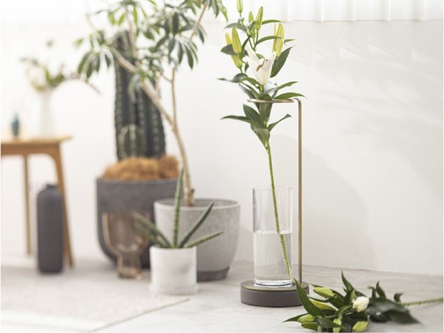 これは家に欲しい 室内に 枝もの が飾れるコンパクトで水替えも楽な花器 Eda Vase Forza Style ファッション ライフスタイル フォルツァスタイル
